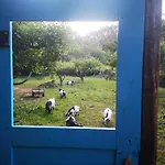 Feriehus Quinta Aguias *