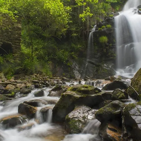 Semesterbostad Quinta Aguias