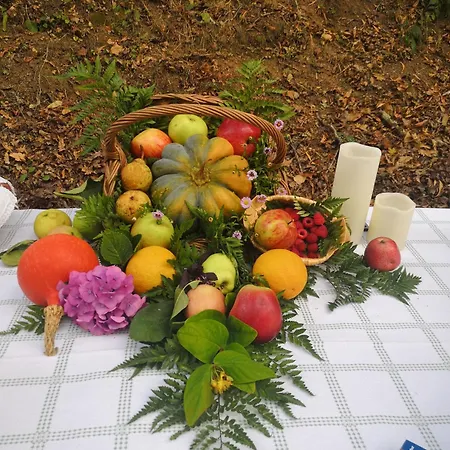 Quinta Aguias * Авейру
