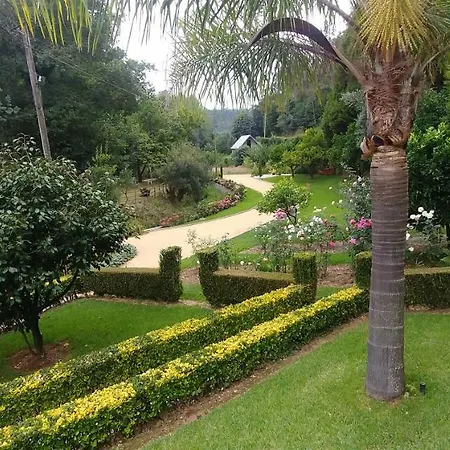 Quinta Aguias Дом отдыха Авейру