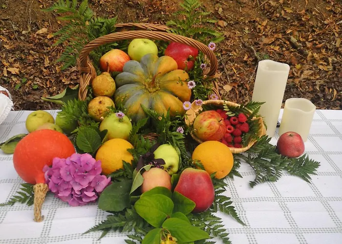 Quinta Aguias * אבאירו