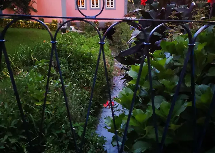 Quinta Aguias * אבאירו