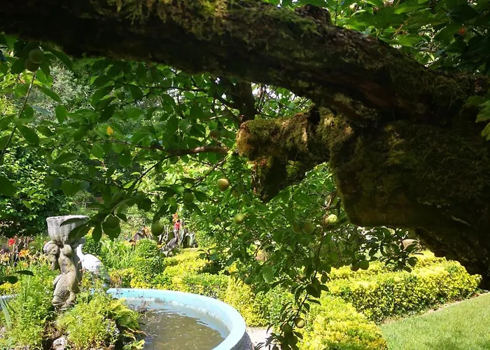 Quinta Aguias בית נופש אבאירו