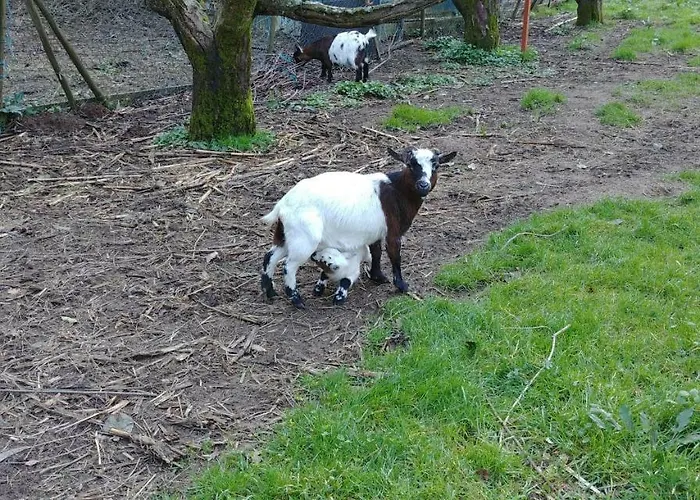 Quinta Aguias בית נופש אבאירו